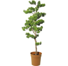 Künstlicher Bonsai-Baum in Kiefernoptik mit grünen Nadeln in einem braunen Topf.