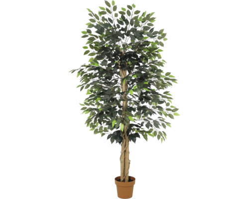 Künstlicher Ficus Benjamina Baum mit Echtholzstamm im Topf.