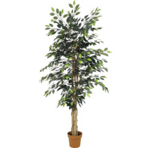 Künstlicher Ficus im Topf mit detailgetreuen grünen Blättern und naturgetreuem Stamm.