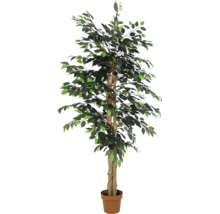 Künstliche Ficus-Pflanze im Topf mit naturgetreuen grünen Blättern und verzweigtem Stamm für die Innendekoration.