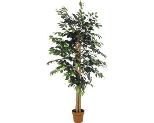 Künstliche Ficus-Pflanze im Topf mit naturgetreuen grünen Blättern und verzweigtem Stamm für die Innendekoration.