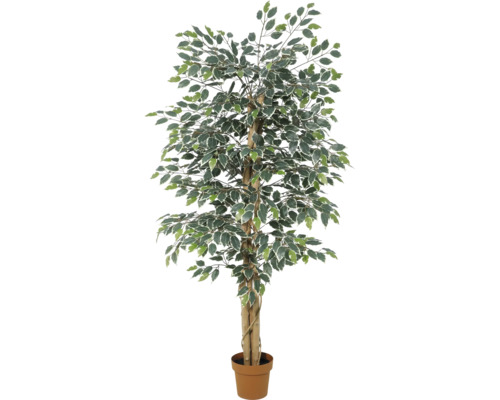 Künstliche Birkenfeige Ficus Benjamina mit buntblättrigem Laub im Kunststofftopf.