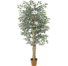 Künstlicher Ficus Benjamina mit panaschierten Blättern und geflochtenem Stamm im Topf.