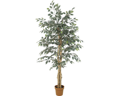 Künstliche Birkenfeige Ficus Benjamina mit zweifarbigen Blättern im Topf