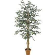 Künstlicher Ficus Benjamina im Topf mit panaschierten Blättern und gedrehtem Stamm.