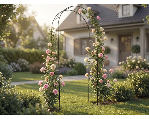 Schwarzer Rosenbogen aus Metall mit rosa und weißen Kletterrosen in einem hellen, organisierten Garten vor einem Wohnhaus.