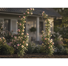 Metall-Rosenbogen mit blühenden Kletterrosen in einem hellen Garten vor einem Haus, dekorative Rankhilfe für den Außenbereich.