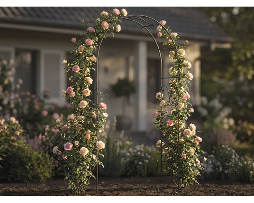 Metall-Rosenbogen mit blühenden Kletterrosen in einem hellen Garten vor einem Haus, dekorative Rankhilfe für den Außenbereich.