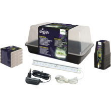 Romberg Homegrow Basic Starter Box für die Pflanzenanzucht mit Mini-Gewächshaus, Pflanzenbeleuchtung, Kokoserde und Anzuchttöpfen.