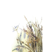 Aquarellbild mit Darstellungen von Wildblumen und Gräsern.