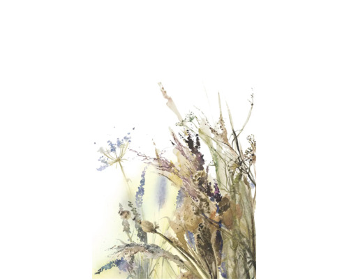 Aquarellbild mit Darstellungen von Wildblumen und Gräsern.