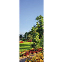 Gepflegter Garten mit buntem Blumenbeet, grünem Rasen und einer Kletterpflanze an einem Rosenbogen unter blauem Himmel.