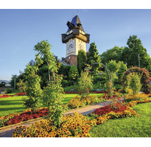 Fototapete mit dem Grazer Uhrturm über einer Parkanlage mit Blumenbeeten und Rankbögen.