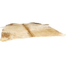 Kuhfellteppich aus echtem Naturfell mit unregelmäßiger Form.