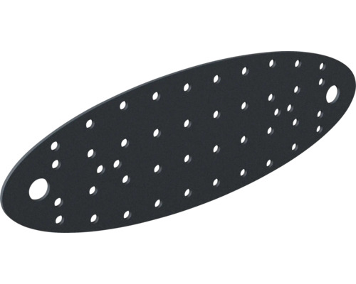 Schwarze ovale Lochplatte mit zahlreichen kleinen Löchern und zwei großen Befestigungslöchern.