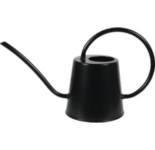 Schwarze Gießkanne aus Metall mit langem, schmalem Ausguss und rundem Griff für Zimmerpflanzen.