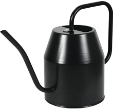Schwarze Metallgießkanne mit langem Ausguss und geschwungenem Griff.