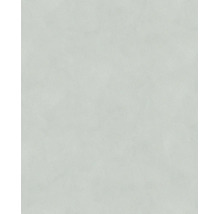 Strukturierte Vliestapete in Hellgrau mit feiner Textur.