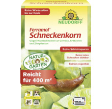 Neudorff Ferramol Schneckenkorn gegen Nacktschnecken an Gemüse und Pflanzen, reicht für 400 Quadratmeter, regenfest und schonend für Nützlinge.