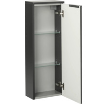 Schmaler Badezimmer-Seitenschrank mit einer Tür, zwei Glaseinlegeböden und anthrazitfarbenem Korpus.