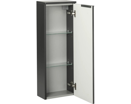 Schmaler Badezimmer-Seitenschrank mit einer Tür, zwei Glaseinlegeböden und anthrazitfarbenem Korpus.