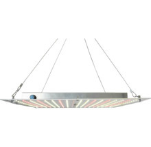 Flaches LED-Pflanzenlampen-Paneel mit Drahtseilaufhängung und integrierten Leuchtdioden.