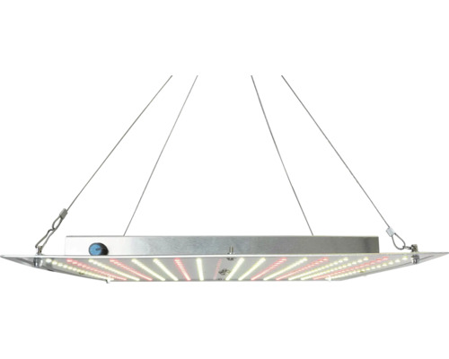Flaches LED-Pflanzenlampen-Paneel mit Drahtseilaufhängung und integrierten Leuchtdioden.