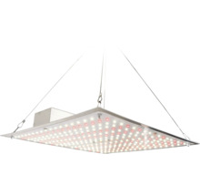Quadratische LED-Pflanzenlampe mit Drahtseilaufhängung und zahlreichen LED-Dioden für das Pflanzenwachstum.