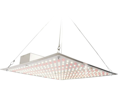 Quadratische LED-Pflanzenlampe mit Drahtseilaufhängung und zahlreichen LED-Dioden für das Pflanzenwachstum.