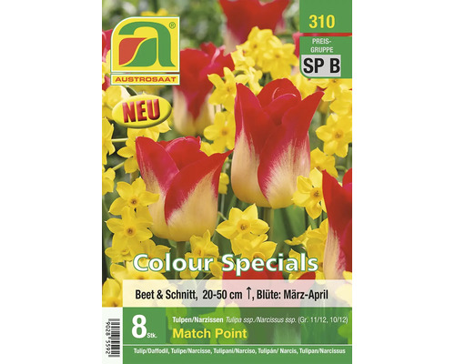 Austrosaat Blumenzwiebeln Colour Specials Match Point, acht Tulpen- und Narzissenzwiebeln, Beet und Schnitt, Wuchshöhe zwanzig bis fünfzig Zentimeter.