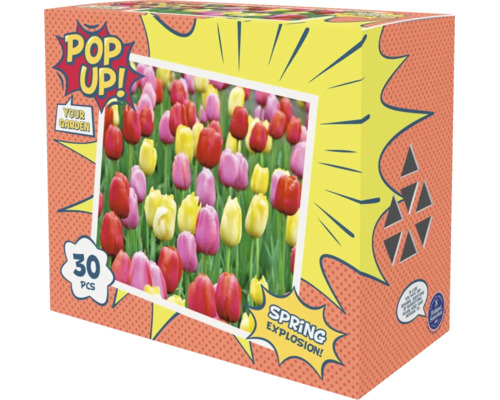 Pop Up Your Garden Tulpenzwiebeln Spring Explosion, Mischung aus 30 Stück, Holland Selection Logo.
