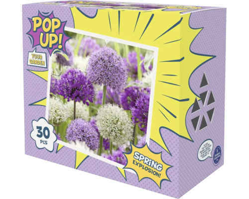 Pop Up! Your Garden Spring Explosion! Blumenzwiebel-Mischung mit 30 Stück Zierlauch für violette und weiße Blüten, Holland Selection Logo.