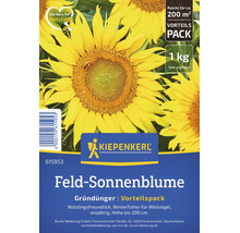 Kiepenkerl Feld-Sonnenblume Gründünger 1 Kilogramm Vorteilspack für circa 200 Quadratmeter. Nützlingsfreundliches Winterfutter für Wildvögel.