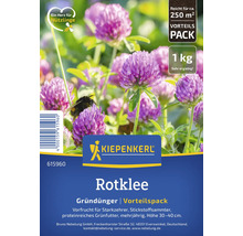 Kiepenkerl Rotklee Samen als Gründünger im 1 Kilogramm Vorteilspack für circa 250 Quadratmeter, insektenfreundlich.