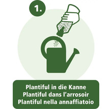 Erster Schritt: Plantiful Pflanzendünger in die Gießkanne füllen.