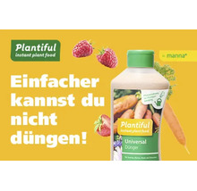 Flasche Plantiful Universal Dünger mit Himbeeren, Erdbeere und Karotte. Text Einfacher kannst du nicht düngen. Plantiful Logo und manna Logo.