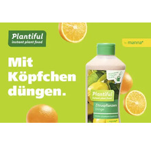 Plantiful Zitruspflanzen Dünger von Manna, flüssige Pflanzennahrung für Zitrusgewächse. Abgebildet mit Orangen. Plantiful Logo. Manna Logo.
