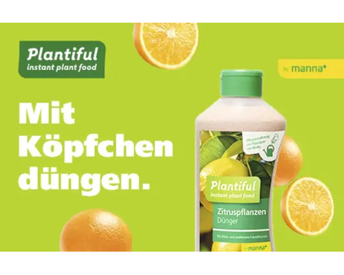 Plantiful Zitruspflanzen Dünger von Manna, flüssige Pflanzennahrung für Zitrusgewächse. Abgebildet mit Orangen. Plantiful Logo. Manna Logo.