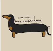 Illustration eines Dackels mit extra langem Körper und dem Schriftzug Happy Long Weekend.