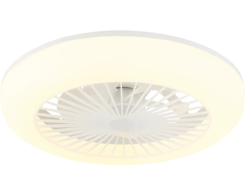 Runder Deckenventilator mit integriertem LED-Lichtring und zentralen Ventilatorflügeln.