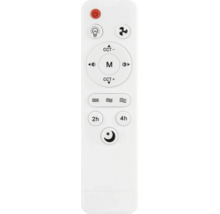 Fernbedienung für Deckenventilator mit Leuchte, Tasten für Licht, Ventilator, Farbtemperatur, Helligkeit, 2- und 4-Stunden-Timer und Nachtmodus.