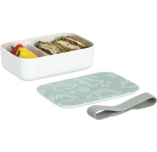 Jausenbox mit Deckel mit Dinosaurier-Motiv, Trennfach und Gummiband, gefüllt mit Proviant.