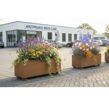 Rechteckige Pflanzkübel in Edelrostoptik mit Sommerbepflanzung und Efeu im Außenbereich vor einem modernen Gebäude.
