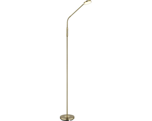 Moderne LED-Stehleuchte aus Metall in Messing-Optik mit flexiblem Arm und rundem Standfuß.
