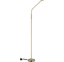 Schlanke LED-Stehleuchte aus Metall in Messing-Optik mit flexiblem Hals und rundem Standfuß.