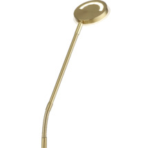 LED-Stehleuchte mit rundem Leuchtenkopf und biegsamem Arm in Messing-Optik.