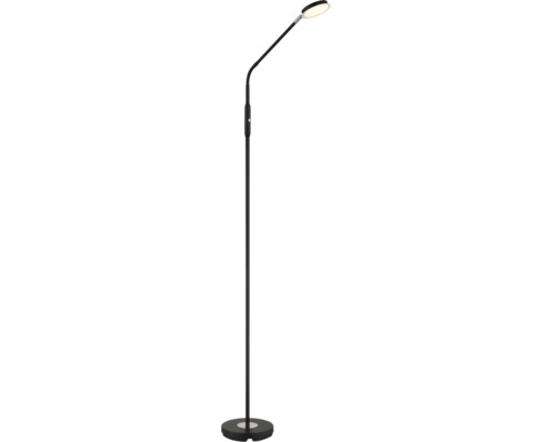 Schlanke LED-Stehlampe in Schwarz mit flexiblem Schwanenhals und rundem Lampenkopf, ideal als Leselampe.