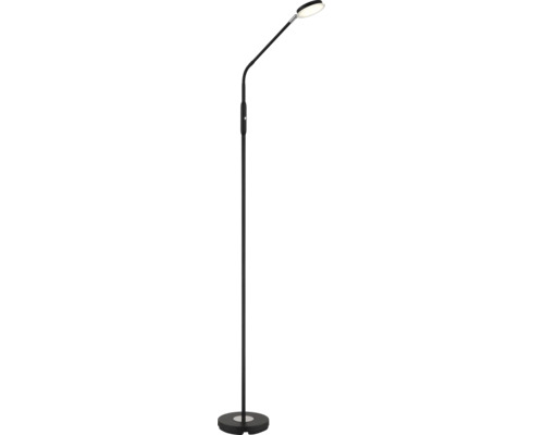 Schwarze LED-Stehleuchte mit flexiblem Hals, rundem Lampenkopf und Tastdimmer.