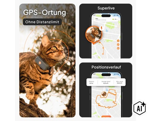 GPS-Tracker für Katzen mit App-Darstellung: Live-Ortung ohne Distanzlimit und Positionsverlauf auf dem Smartphone. (Image AI modified or generated)