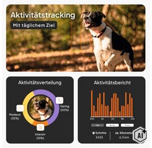 Infografik zum Aktivitätstracking für Hunde mit Aktivitätsverteilung, Aktivitätsbericht, Schritten und Kilometern. (Image AI modified or generated)